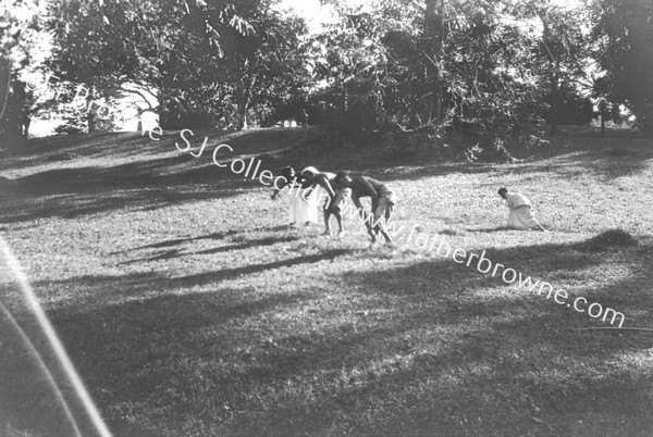 IN THE PEREDENIYA GARDENS : MOWING THE GRASS WITH SICKLES